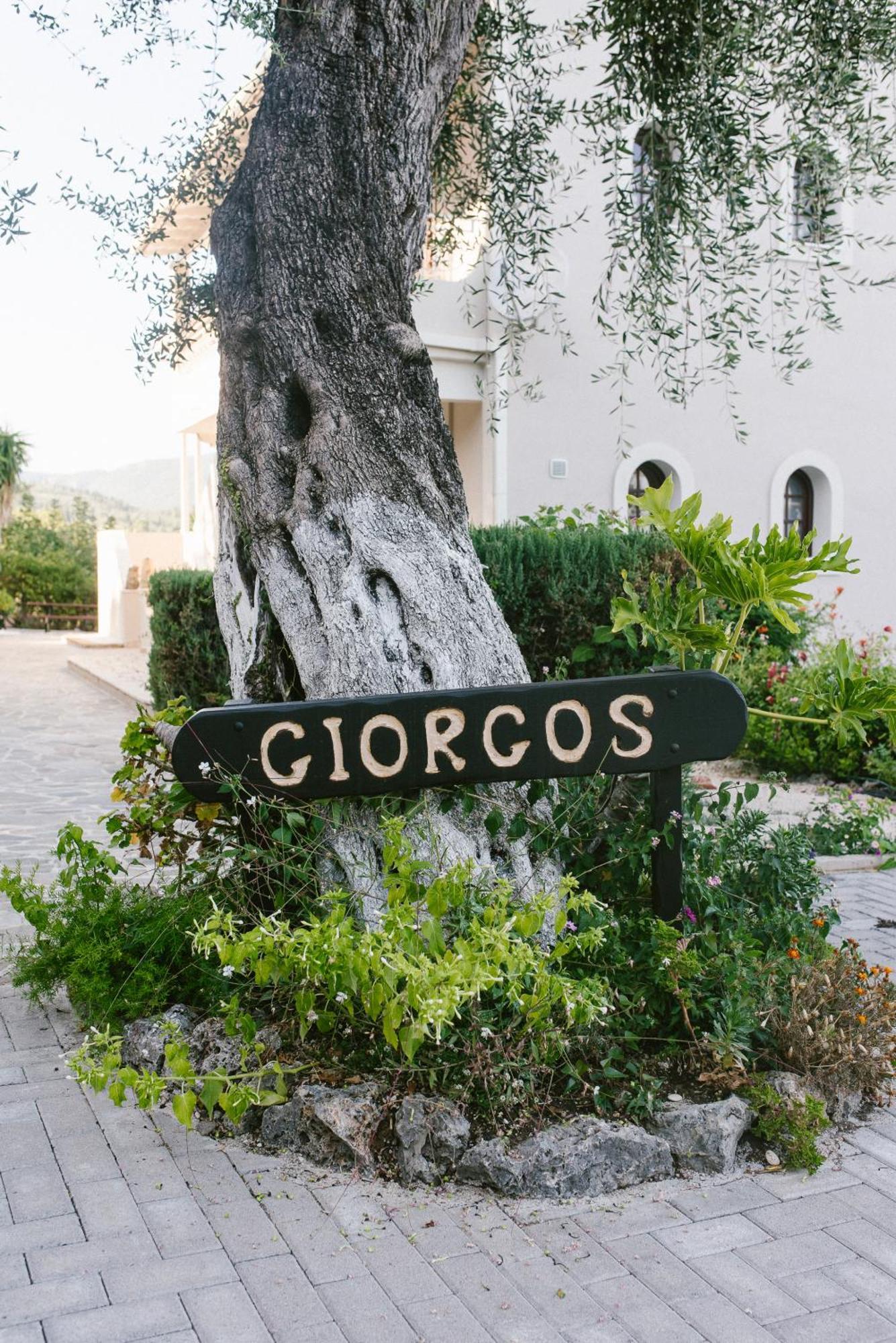 Giorgos Apartments Dassia  Ngoại thất bức ảnh